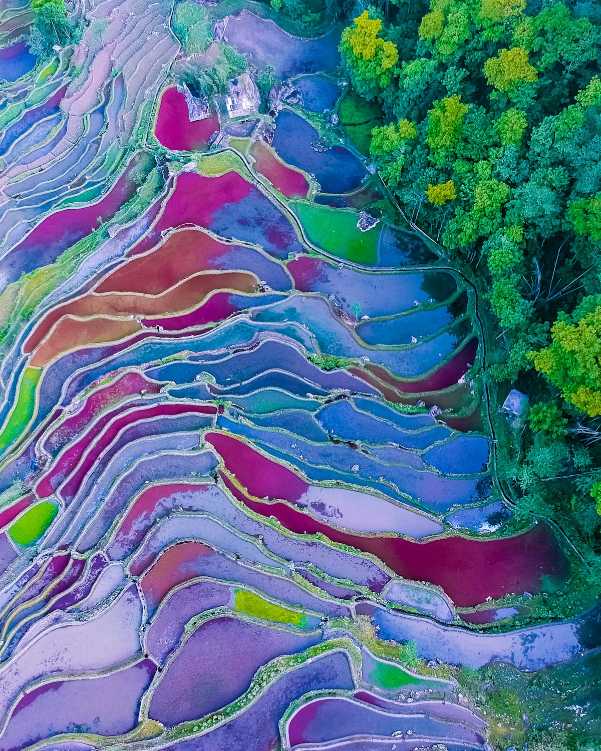 日本里山与